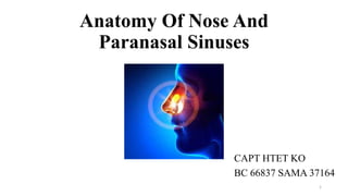 Anatomy Of Nose And
Paranasal Sinuses
CAPT HTET KO
BC 66837 SAMA 37164
1
 