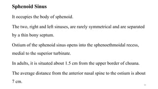 Sphenoid Sinus
It occupies the body of sphenoid.
The two, right and left sinuses, are rarely symmetrical and are separated
by a thin bony septum.
Ostium of the sphenoid sinus opens into the sphenoethmoidal recess,
medial to the superior turbinate.
In adults, it is situated about 1.5 cm from the upper border of choana.
The average distance from the anterior nasal spine to the ostium is about
7 cm.
30
 
