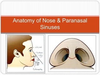 Anatomy of Nose & Paranasal
Sinuses
 