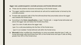 Anatomy of nose& PNS | PPTX
