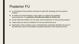 Anatomy of nose& PNS | PPTX