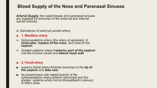 Blood Supply of the Nose and Paranasal Sinuses
Arterial Supply: the nasal fossae and paranasal sinuses
are supplied by branches of the external and internal
carotid arteries.
A. Derivatives of external carotid artery:
■ 1. Maxillary artery
 Sphenopalatine artery (the artery of epistaxis) 
turbinates, meatus of the nose, and most of the
septum.
 Greater palatine arteryanterior part of the septum
(via the incisive canal) and lateral nasal wall.
■ 2. Facial artery
■ superior labial arterySends branches to the tip of
the septum and alae nasi.
■ Its anastomosis with septal branch of the
sphenopalatine artery,anterior ethmoidal and the
greater palatine artery forms (Kiesselbach’s plexus)
in little’s area.
 