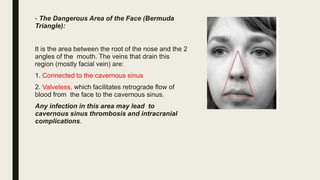 - The Dangerous Area of the Face (Bermuda
Triangle):
It is the area between the root of the nose and the 2
angles of the mouth. The veins that drain this
region (mostly facial vein) are:
1. Connected to the cavernous sinus
2. Valveless, which facilitates retrograde flow of
blood from the face to the cavernous sinus.
Any infection in this area may lead to
cavernous sinus thrombosis and intracranial
complications.
 