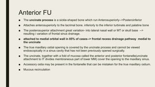 Anterior FU
■ The uncinate process is a sickle-shaped bone which run Anterosuperiorly-->Posteroinferior
■ Attaches anterosuperiorly to the lacrimal bone. inferiorly to the inferior turbinate and palatine bone
■ The posterosuperior attachment great variation- into lateral nasal wall or MT or skull base -->
resulting i variation of frontal sinus drainage.
■ attached to medial orbital wall in 85% of cases--> frontal recess drainage pathway medial to
the uncinate
■ The true maxillary ostial opening is covered by the uncinate process and cannot be viewed
endoscopically in a sinus cavity that has not been previously opened surgically.
■ The uncinate, together with a fold of mucosa called the anterior and posterior fontanelle(uncinate
attachment to IT divides membraneous part of lower MM) cover the opening to the maxillary sinus.
■ Accessory ostia may be present in the fontanelle that can be mistaken for the true maxillary ostium.
■ Mucous recirculation
 