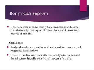 Bonye Process ANATOMY OF NOSE and PARANASAL SINUSES ENT PG | PPTX