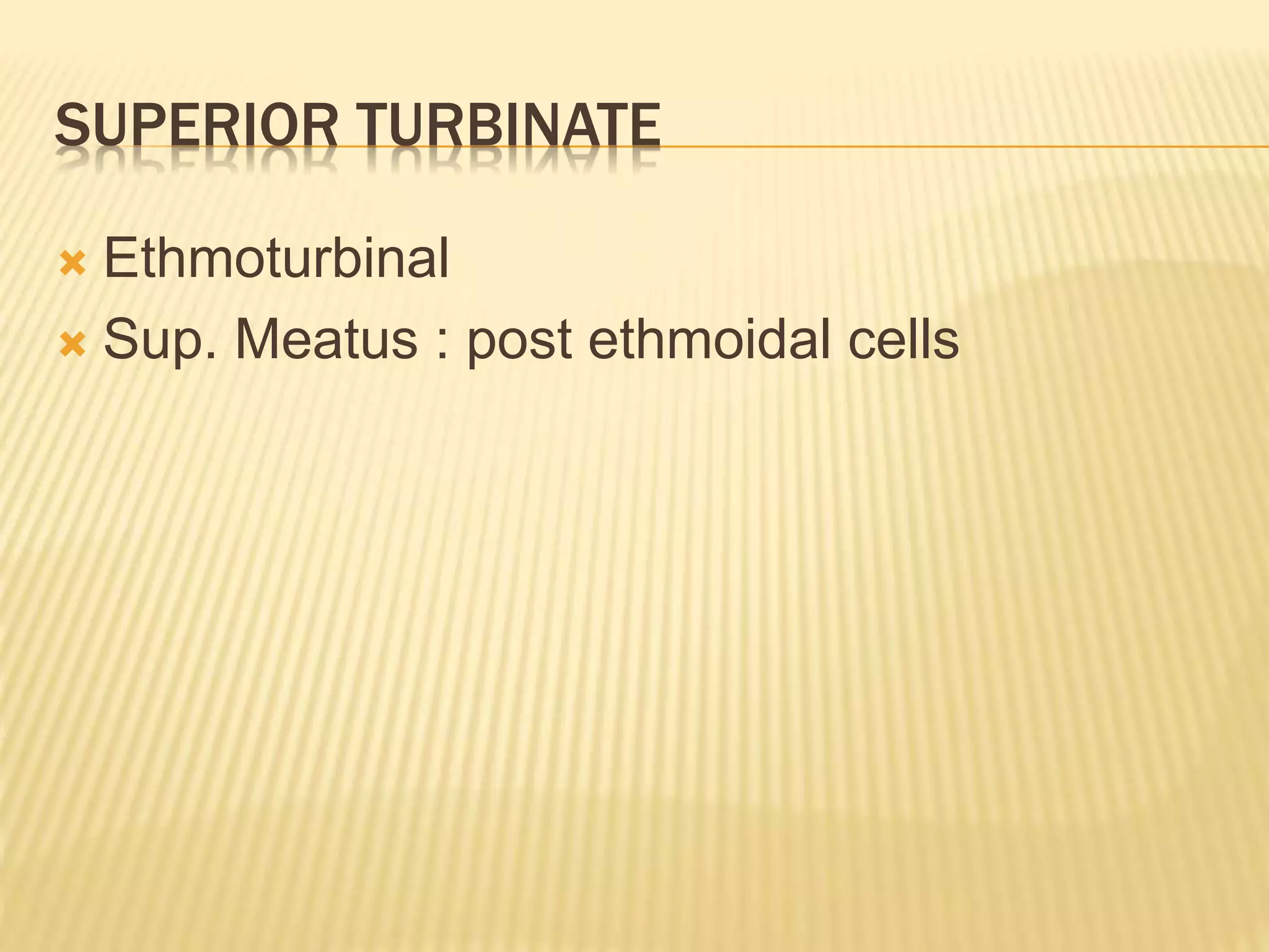 ANATOMY of nose ppt.pptx