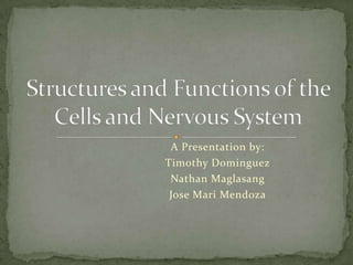 A Presentation by:
Timothy Dominguez
 Nathan Maglasang
 Jose Mari Mendoza
 