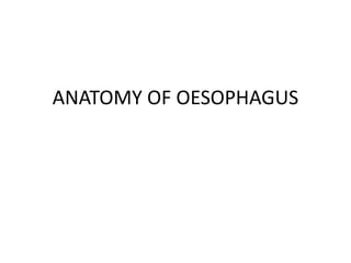 ANATOMY OF OESOPHAGUS
 