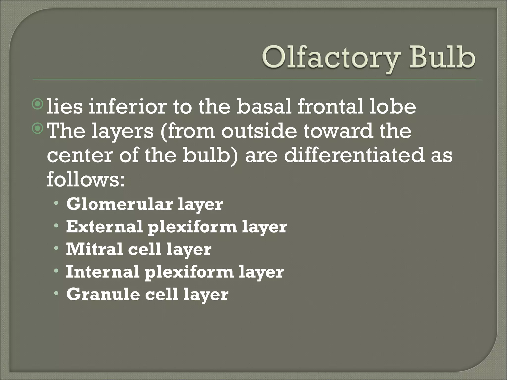  lies inferior to the basal frontal lobe
 The layers (from outside toward the
  center of the bulb) are differentiated as
  follows:
  •   Glomerular layer
  •   External plexiform layer
  •   Mitral cell layer
  •   Internal plexiform layer
  •   Granule cell layer
 