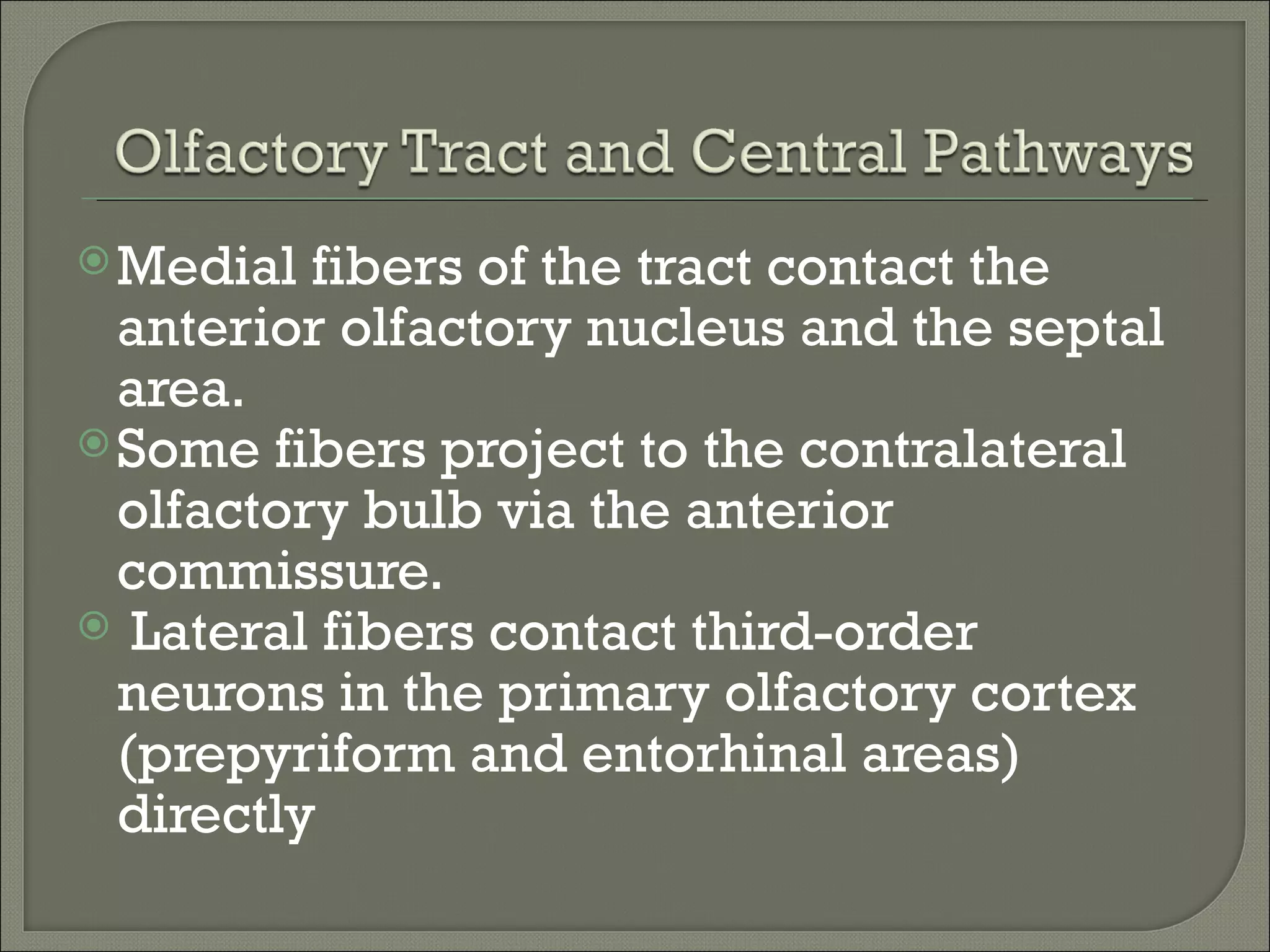  Medial  fibers of the tract contact the
  anterior olfactory nucleus and the septal
  area.
 Some fibers project to the contralateral
  olfactory bulb via the anterior
  commissure.
 Lateral fibers contact third-order
  neurons in the primary olfactory cortex
  (prepyriform and entorhinal areas)
  directly
 