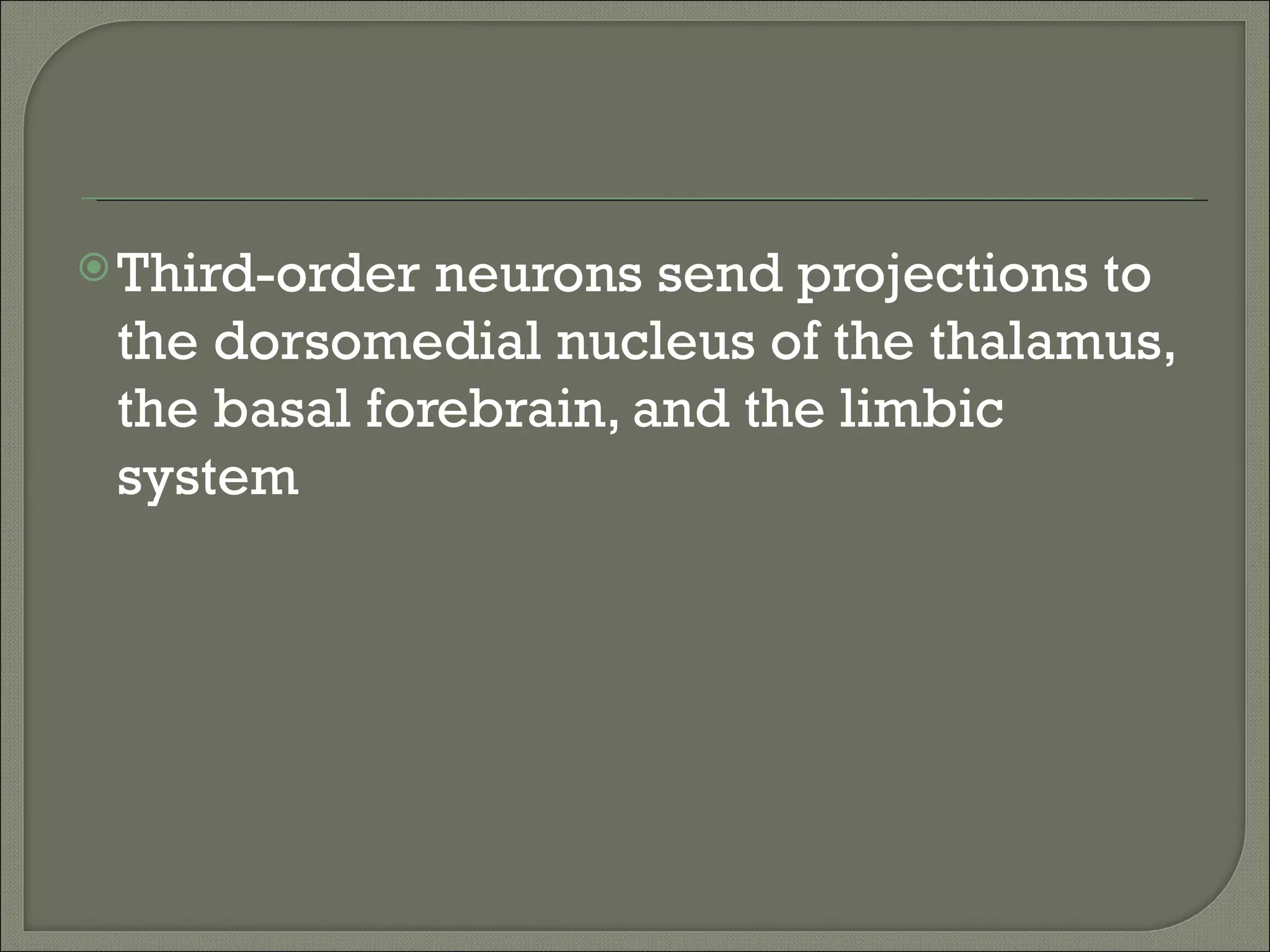  Third-order neurons send projections to
 the dorsomedial nucleus of the thalamus,
 the basal forebrain, and the limbic
 system
 