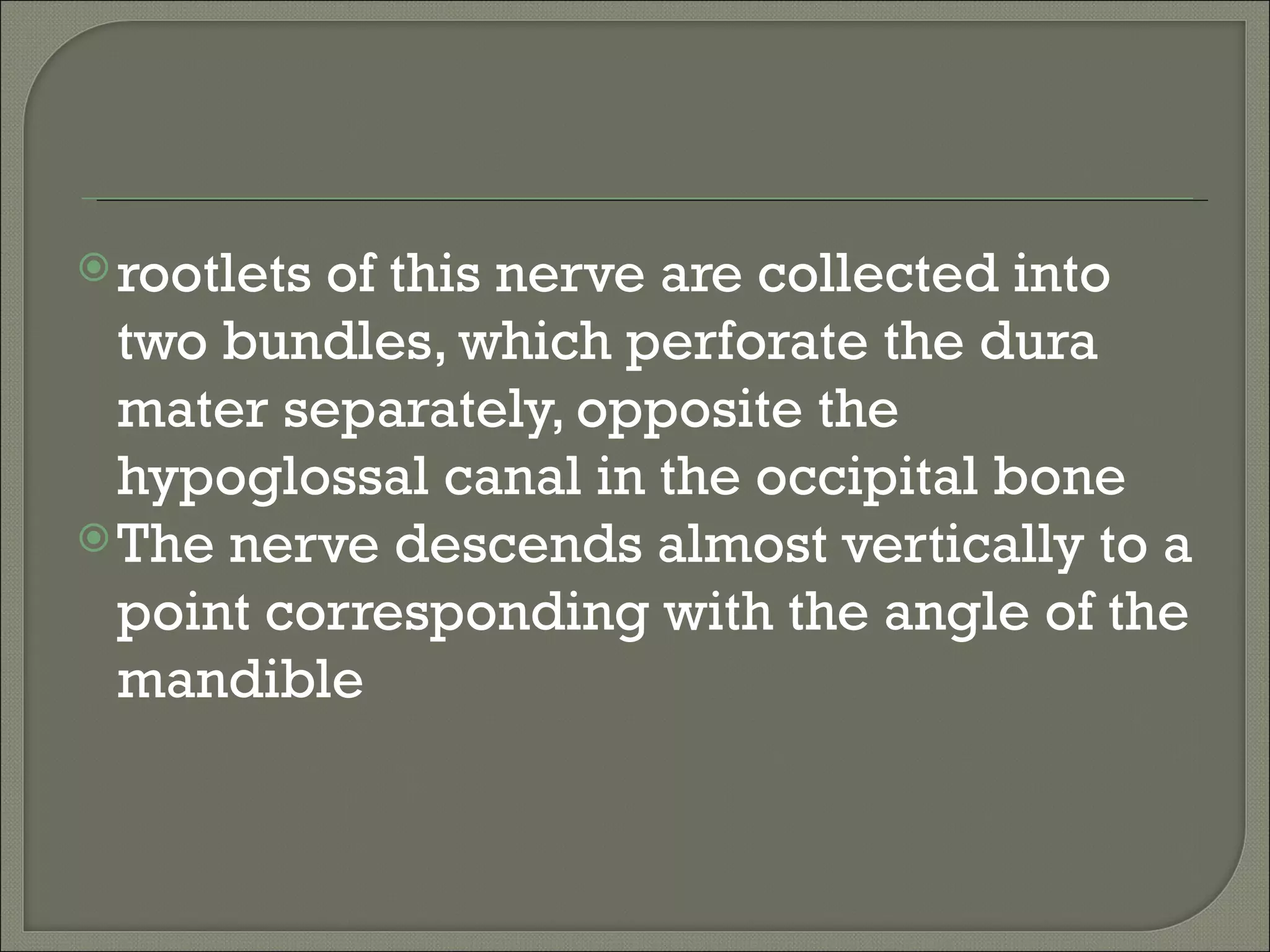  rootletsof this nerve are collected into
  two bundles, which perforate the dura
  mater separately, opposite the
  hypoglossal canal in the occipital bone
 The nerve descends almost vertically to a
  point corresponding with the angle of the
  mandible
 