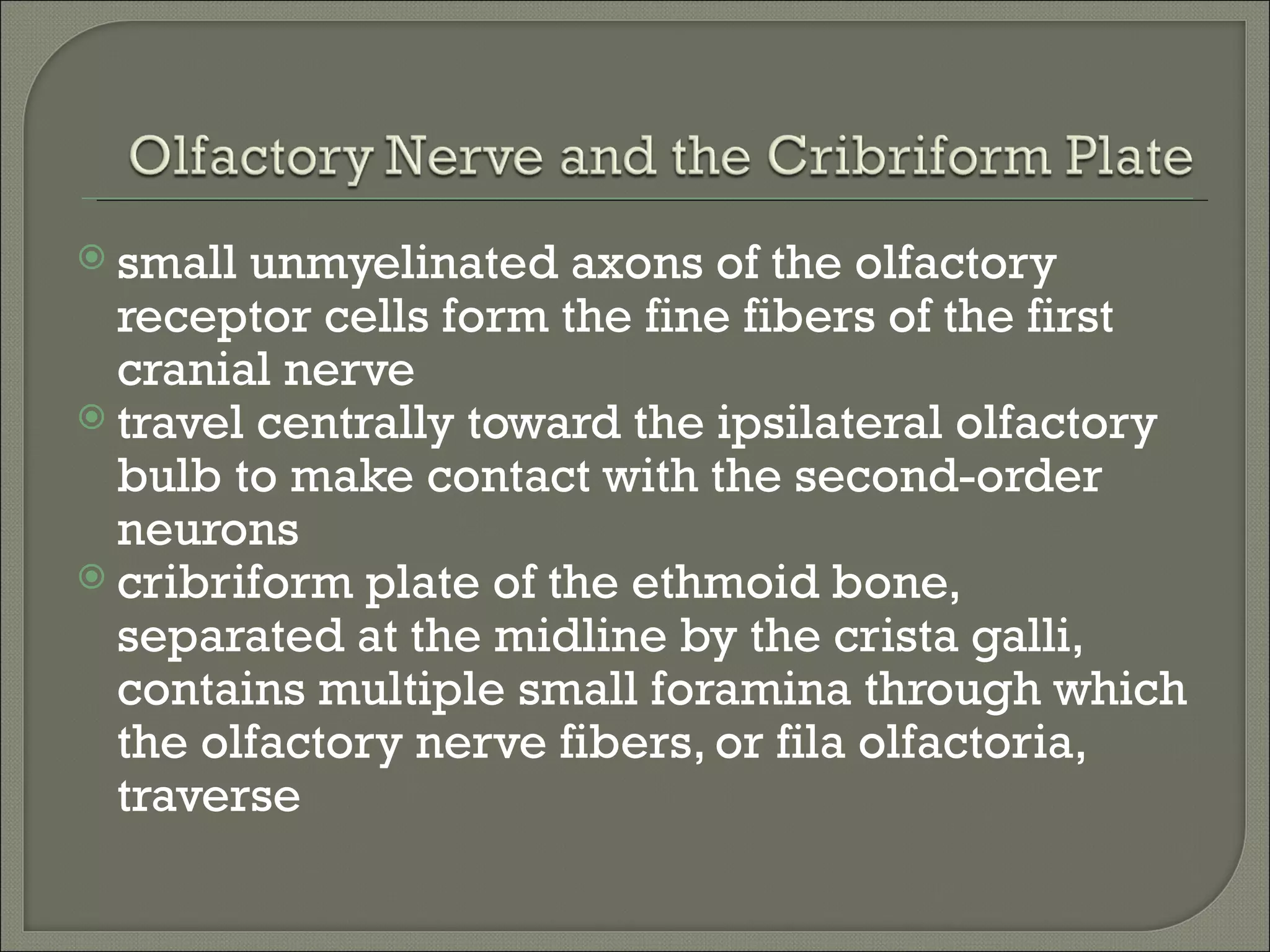  small unmyelinated axons of the olfactory
  receptor cells form the fine fibers of the first
  cranial nerve
 travel centrally toward the ipsilateral olfactory
  bulb to make contact with the second-order
  neurons
 cribriform plate of the ethmoid bone,
  separated at the midline by the crista galli,
  contains multiple small foramina through which
  the olfactory nerve fibers, or fila olfactoria,
  traverse
 