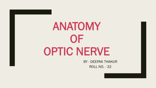 ANATOMY OF OPTIC NERVE.pdf ophthalmology topic | PDF