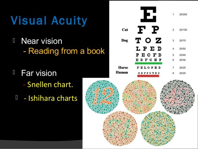optic nerve clinical significance ishihara chart book