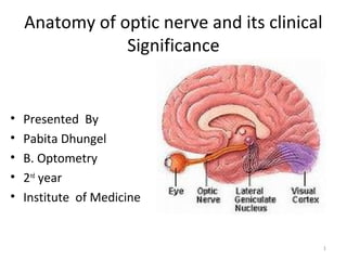 Anatomy of optic nerve and its clinical
Significance
• Presented By
• Pabita Dhungel
• B. Optometry
• 2nd
year
• Institute of Medicine
1
 
