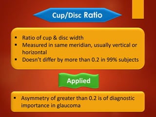 Cup/disc Ratoi Anatomy of optic nerve (Optic Nerve Anatomy), Blood Supply & Clinical ...