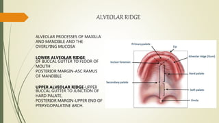 Anatomy of oral cavity and oropharynx | PPTX
