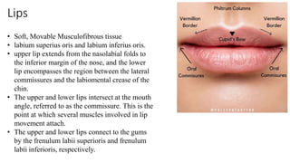 Anatomy of Oral Cavity with applied anatomy.pptx