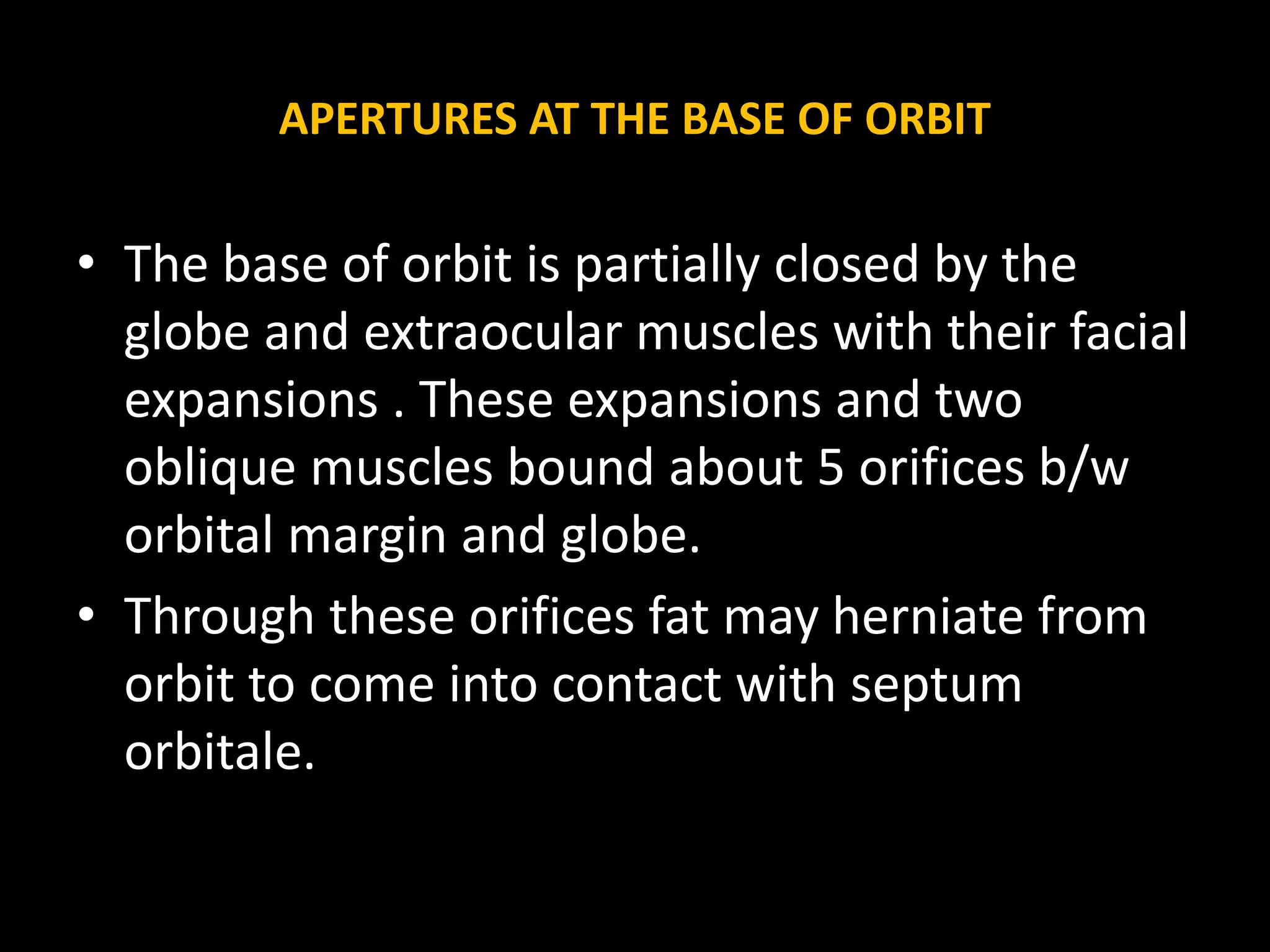 Anatomy of orbit | PPTX