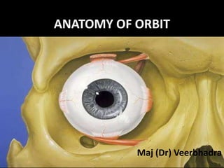ANATOMY OF ORBIT
Maj (Dr) Veerbhadra
 