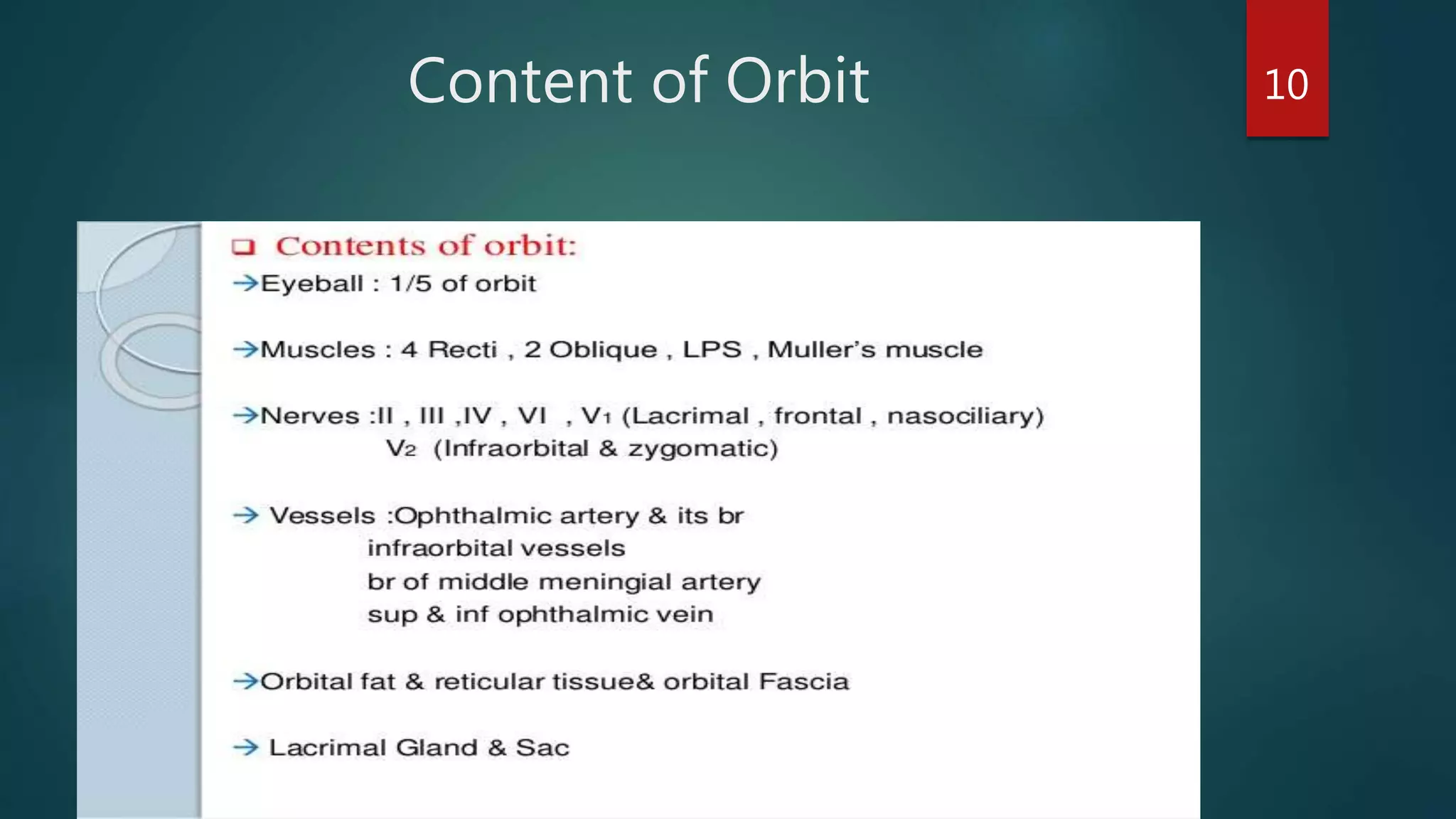 Content of Orbit 10