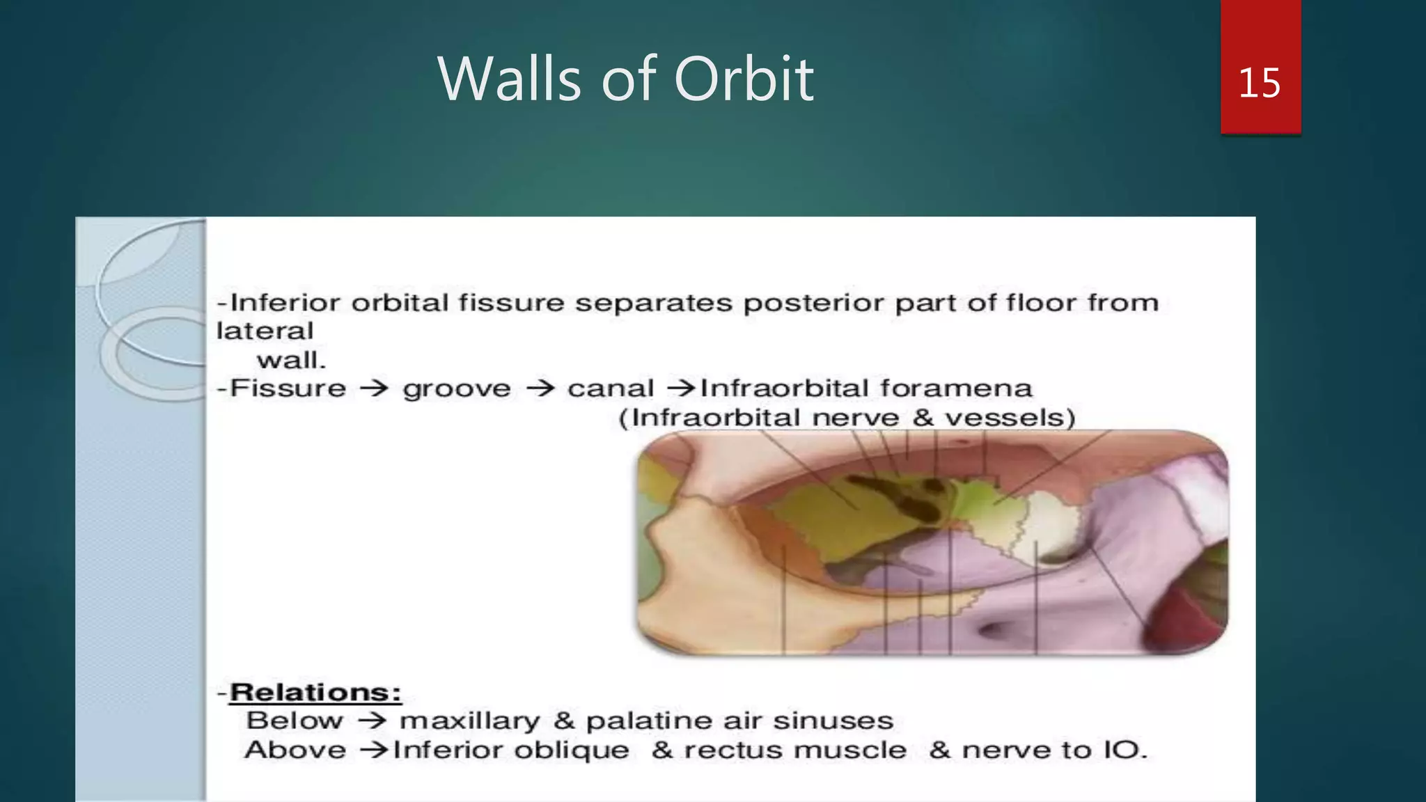 Walls of Orbit 15
