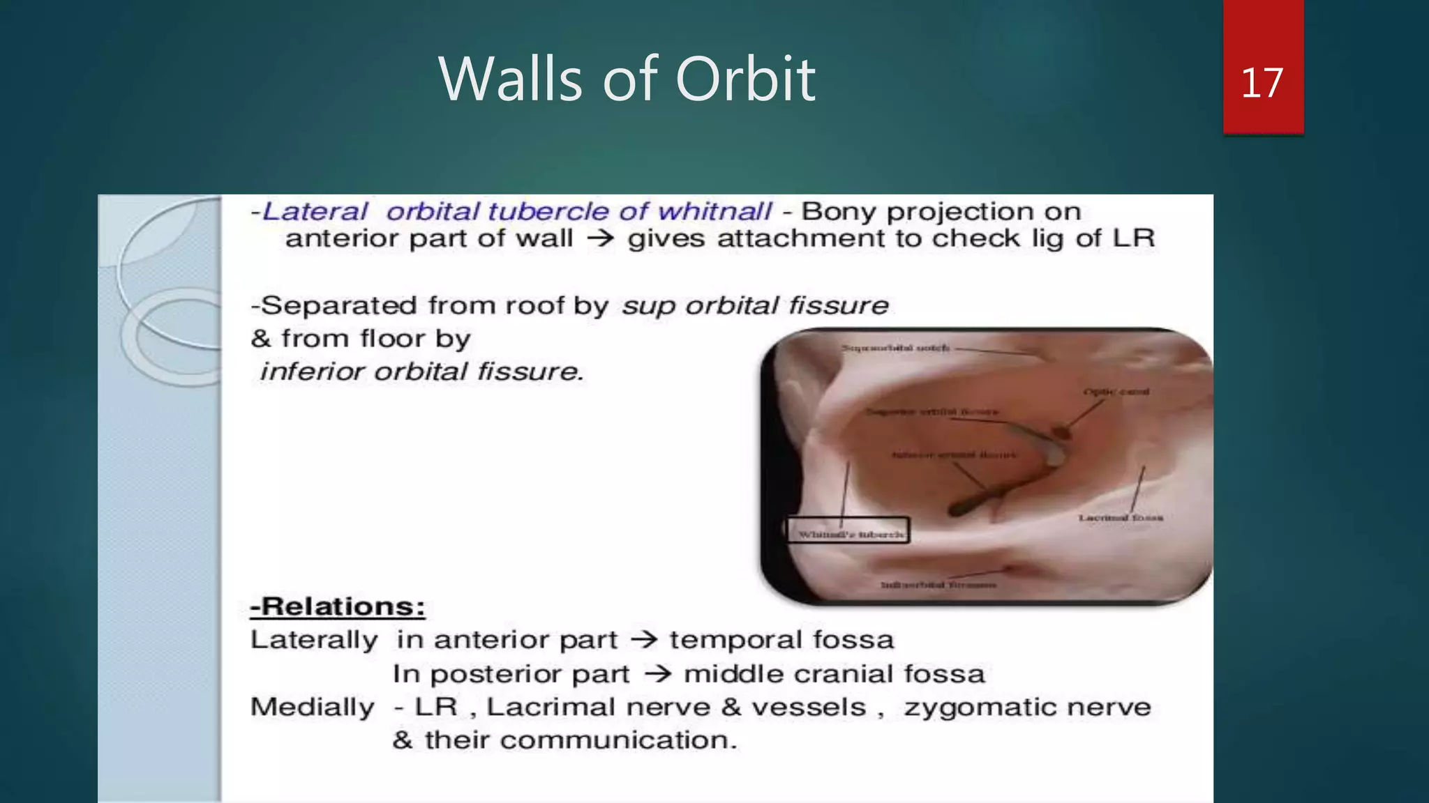 Walls of Orbit 17