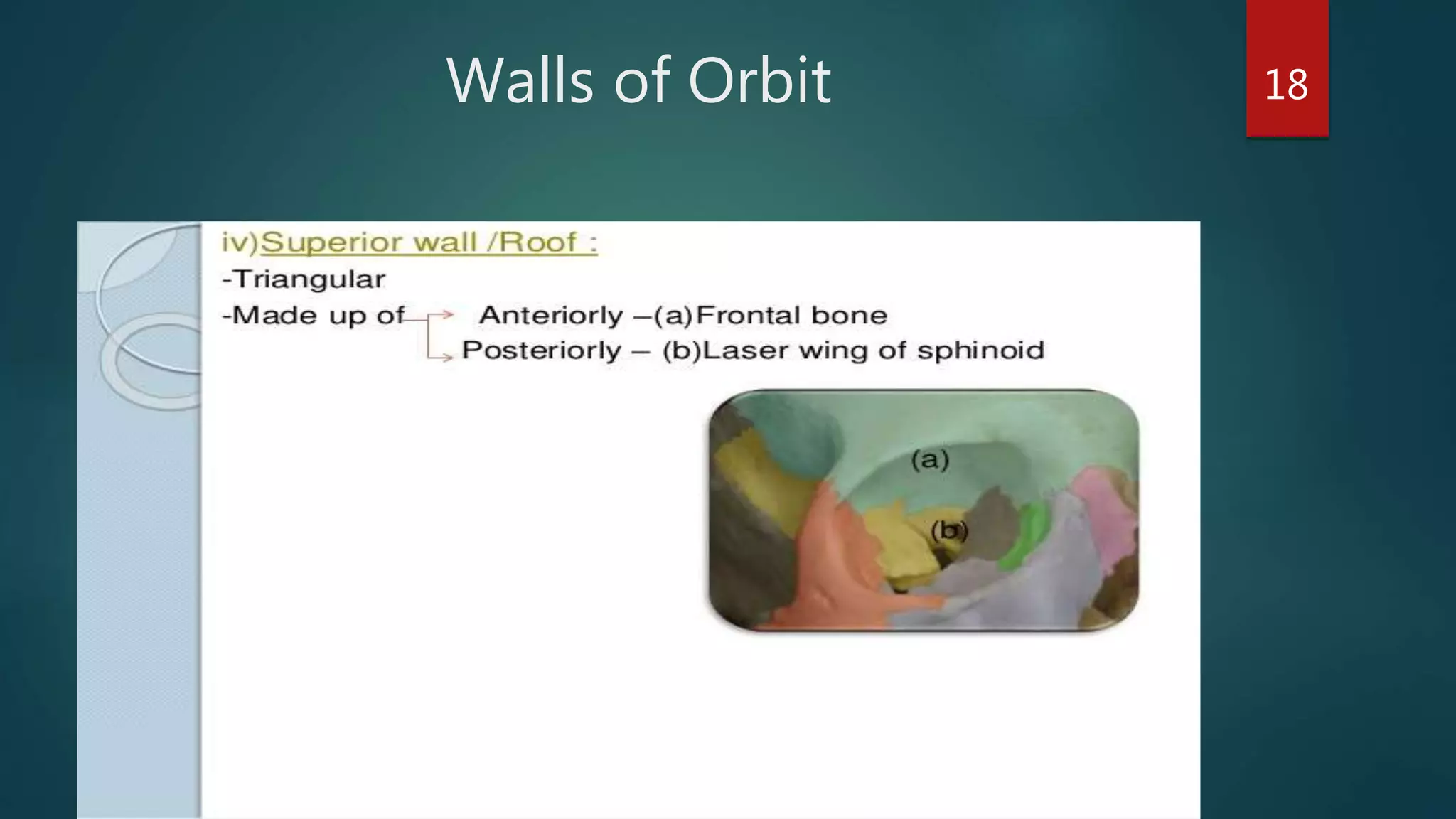 Walls of Orbit 18