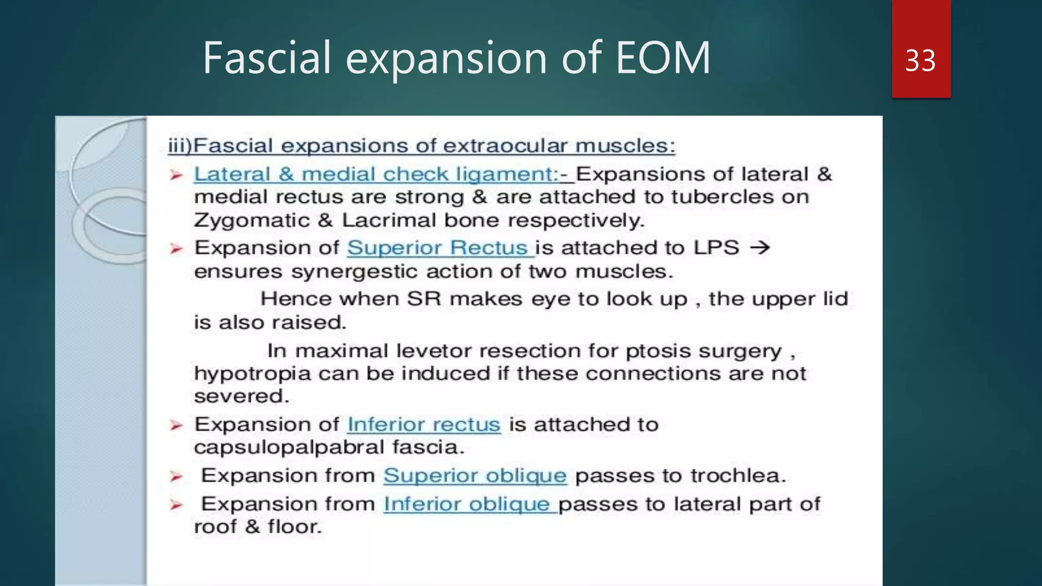 Fascial expansion of EOM 33