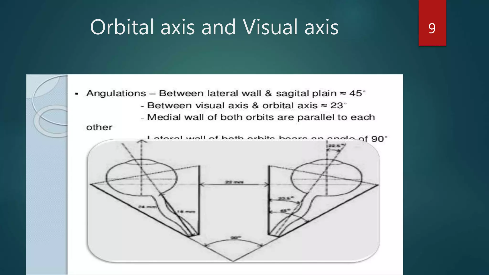 Orbital axis and Visual axis 9