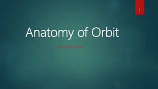 Anatomy of Orbit
DR AZMAT KHAN
1
 