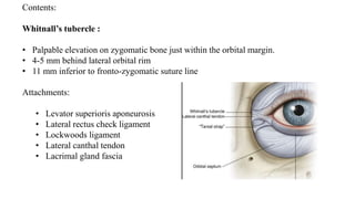 Lateral Rim Anatomy of orbit | PPTX