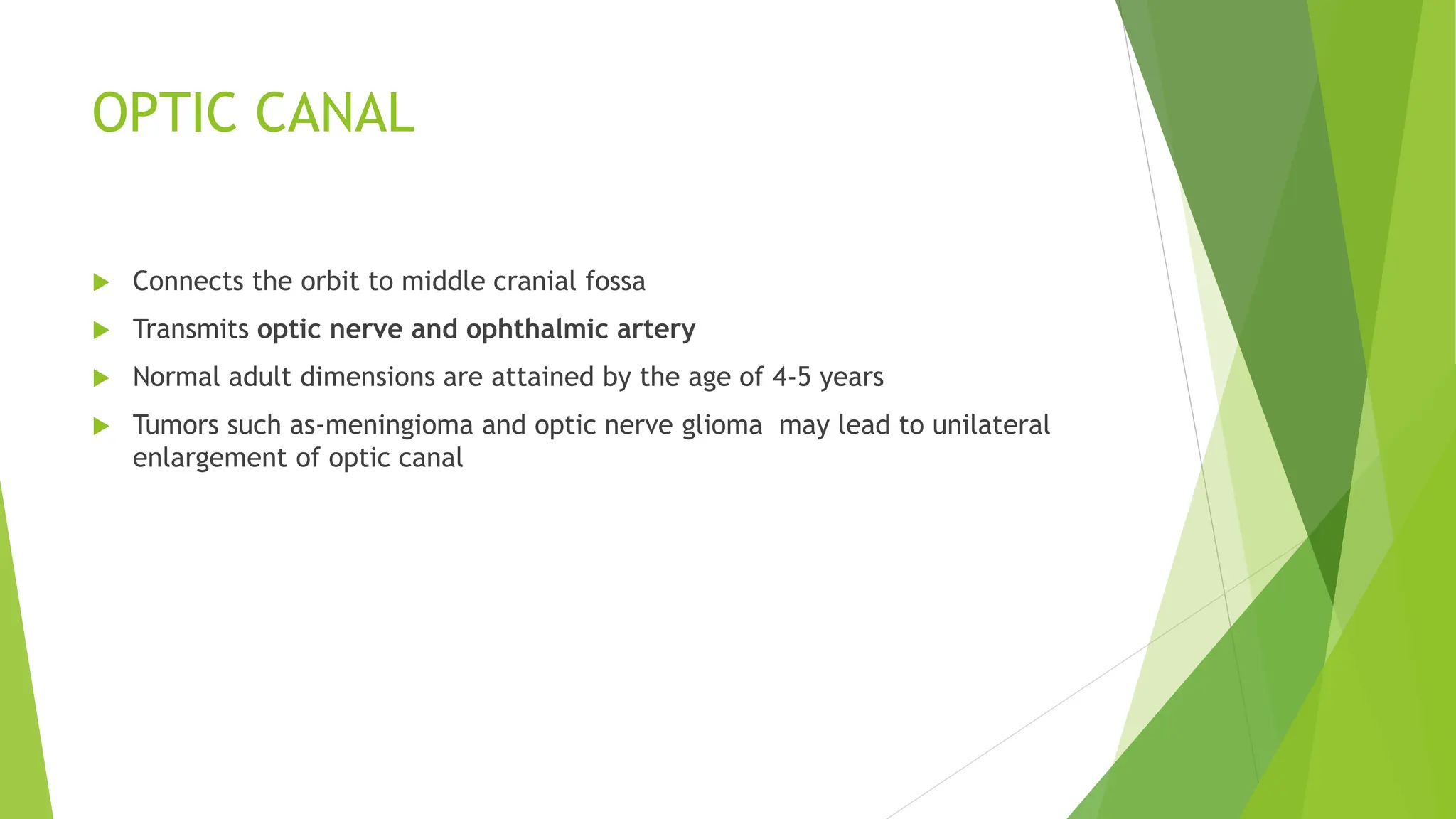 ANATOMY OF ORBIT.pptx anatomy of orbit ppt | PPTX