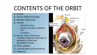 Comprehensive Anatomy and Development of the Human Orbit | PPTX