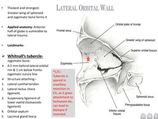 Anatomy of orbit by pushkar dhir | PPTX