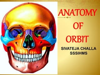ANATOMY
OF
ORBIT
SIVATEJA CHALLA
SSSIHMS
 