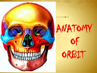 ANATOMY
OF
ORBIT
 
