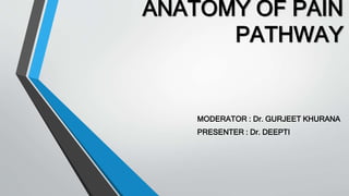 ANATOMY OF PAIN
PATHWAY
MODERATOR : Dr. GURJEET KHURANA
PRESENTER : Dr. DEEPTI
 