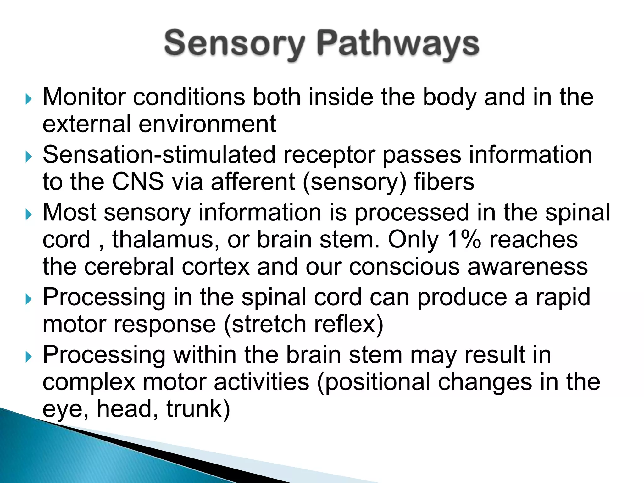 Anatomy of pain pathway | PPTX
