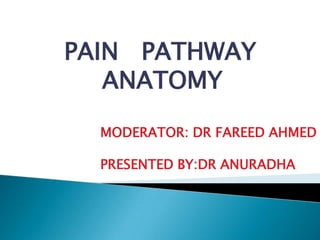 PAIN PATHWAY
   ANATOMY

  MODERATOR: DR FAREED AHMED

  PRESENTED BY:DR ANURADHA
 