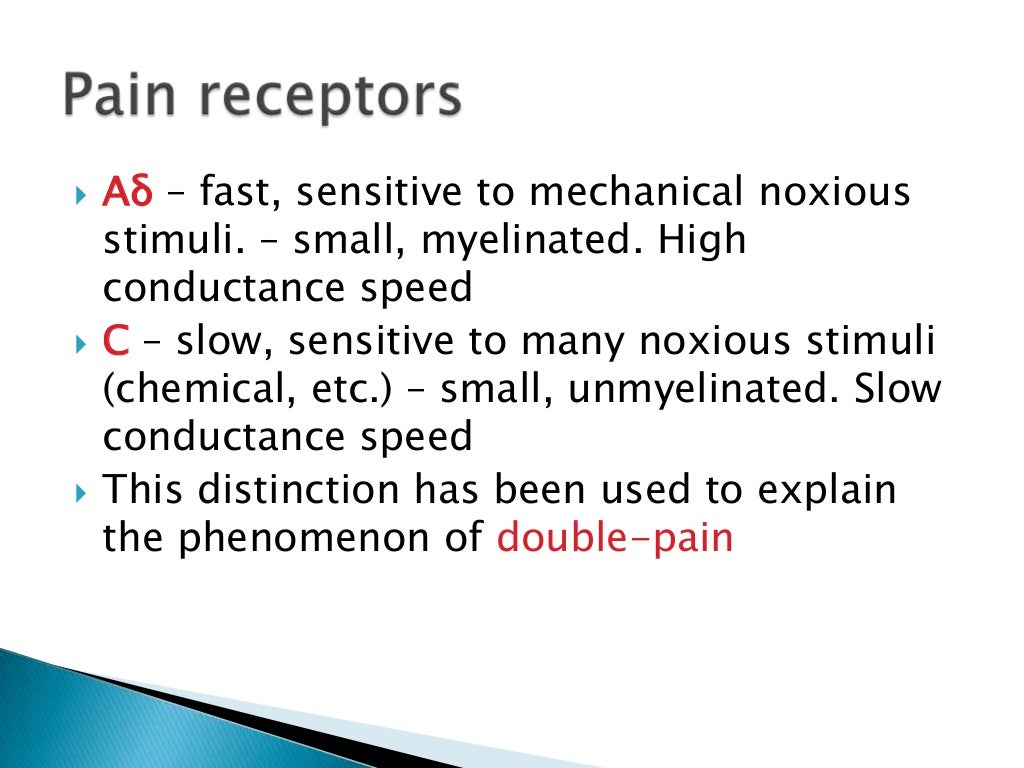 Anatomy of pain pathway Biology Diagrams