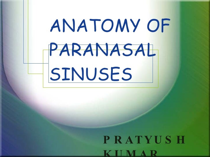 Anatomy Of Paranasal Sinuses