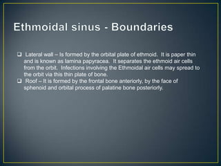 Ethmoid Sinus Anatomy Ppt