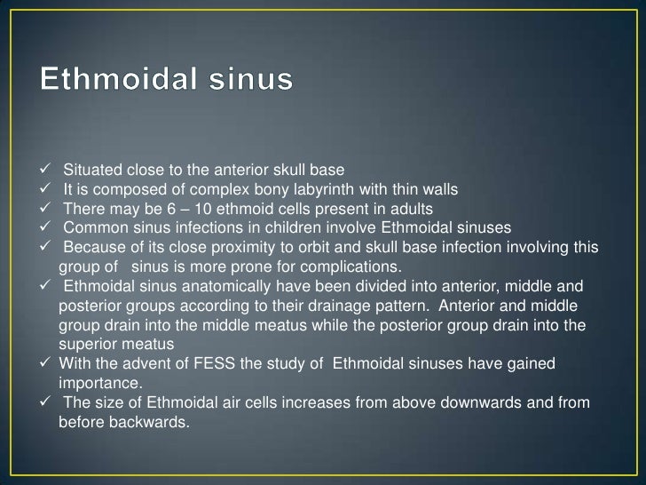 Anatomy Of Para Nasal Sinuses
