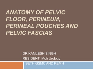 ANATOMY OF PELVIC
FLOOR, PERINEUM,
PERINEAL POUCHES AND
PELVIC FASCIAS
DR KAMLESH SINGH
RESIDENT Mch Urology
SETH GSMC AND KEMH
 