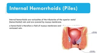 anatomy of pelvis, perineum and pelvic diaphragm.pptx
