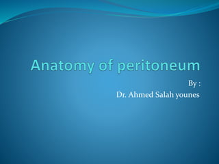 By :
Dr. Ahmed Salah younes
 