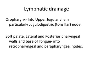 Lymphatic drainage
Oropharynx- Into Upper Jugular chain
particularly Jugulodigastric (tonsillar) node.
Soft palate, Lateral and Posterior pharyngeal
walls and base of Tongue- into
retropharyngeal and parapharyngeal nodes.
 