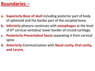 Boundaries –
a. Superiorly-Base of skull including posterior part of body
of sphenoid and the basilar part of the occipital bone.
b. Inferiorly-pharynx continues with oesophagus at the level
of 6th cervical vertebra/ lower border of cricoid cartilage.
c. Posteriorly-Prevertebral fascia separating it from cervical
spine
d. Anteriorly-Communication with Nasal cavity, Oral cavity,
and Larynx.
 